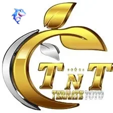 Logo ternatetoto